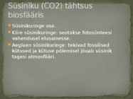 Süsinik #9