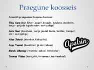 Apelsin #9