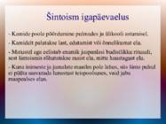 Šindoism #16