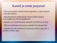 Šindoism #10