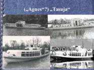 Tartu reisilaevastik XX sajandil #33