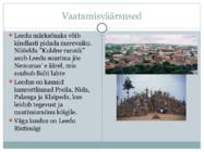 Leedu kultuur #7