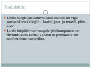 Leedu kultuur #10