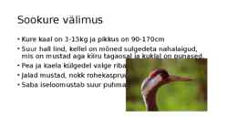 Esitlus- Sookurg #2