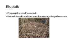 Esitlus- Sookurg #3