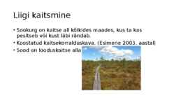 Esitlus- Sookurg #7