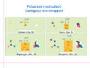 Apolaarsed aminohapped #4