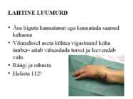 VEREJOOKSUGA KANNATANU ABISTAMINE #18