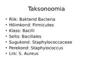 Staphylococcus aureus #2