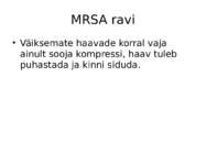 Staphylococcus aureus #13