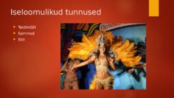 Samba #4