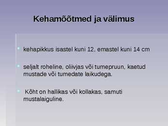 Järvekonn #2