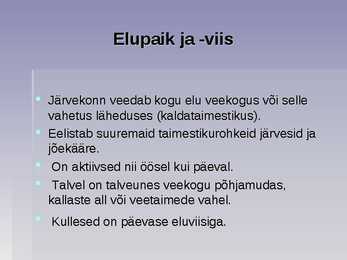 Järvekonn #4