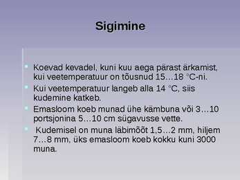 Järvekonn #6