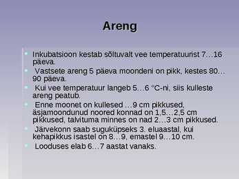 Järvekonn #7