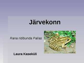 Järvekonn