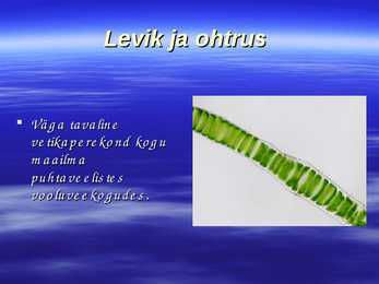 Vesijuus #5