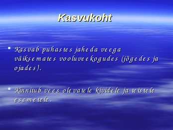 Vesijuus #6