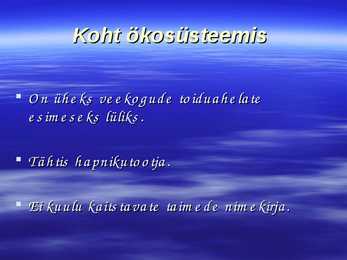 Vesijuus #7