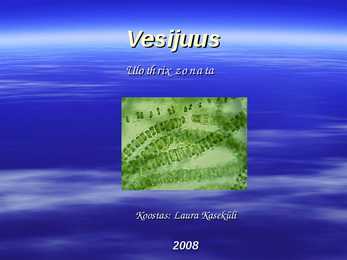 Vesijuus