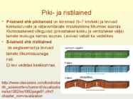 Maavärinad #19