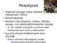 Peajalgsed #4