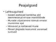 Peajalgsed #6