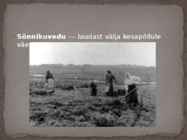 Talurahva eluolu 19-sajandil #7