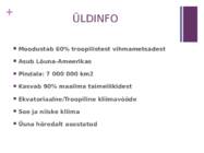 Amazonase vihmametsad #2