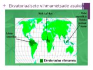 Amazonase vihmametsad #3
