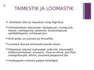 Amazonase vihmametsad #4