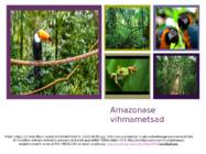 Amazonase vihmametsad