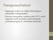 Transgeensed taimed #2
