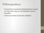 Transgeensed taimed #5