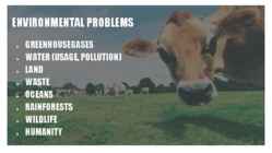 Food and environment #4