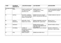 Vitamiinide tabel #2