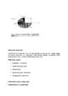 Mullateaduse I seminar #2