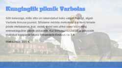 Pulma esitlus #15
