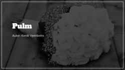 Pulma esitlus