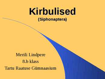 Kirbulised
