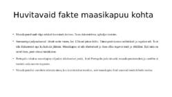 HARILIK MAASIKAPUU #4