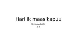 HARILIK MAASIKAPUU