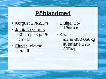 Jääkaru #2