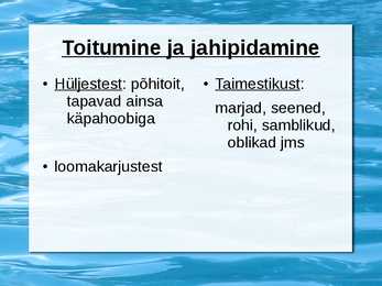 Jääkaru #3