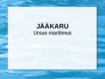 Jääkaru