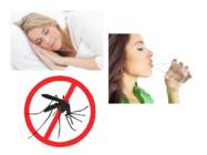 Zika viirus #8