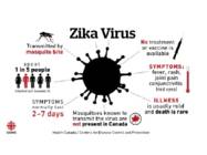 Zika viirus #9