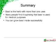 Basil #13