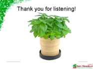 Basil #16