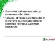 LÄÄTSED #7